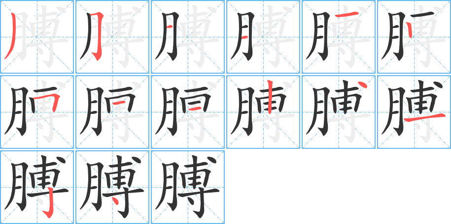 膊的筆順分步演示