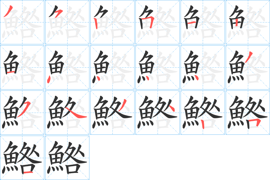 鯦的筆順分步演示