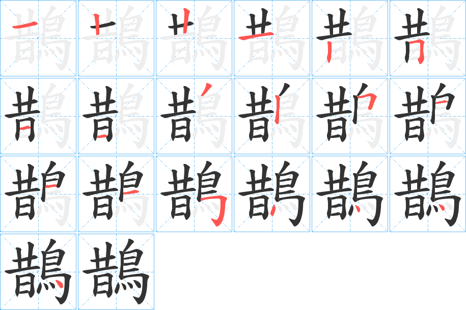 鵲的筆順分步演示